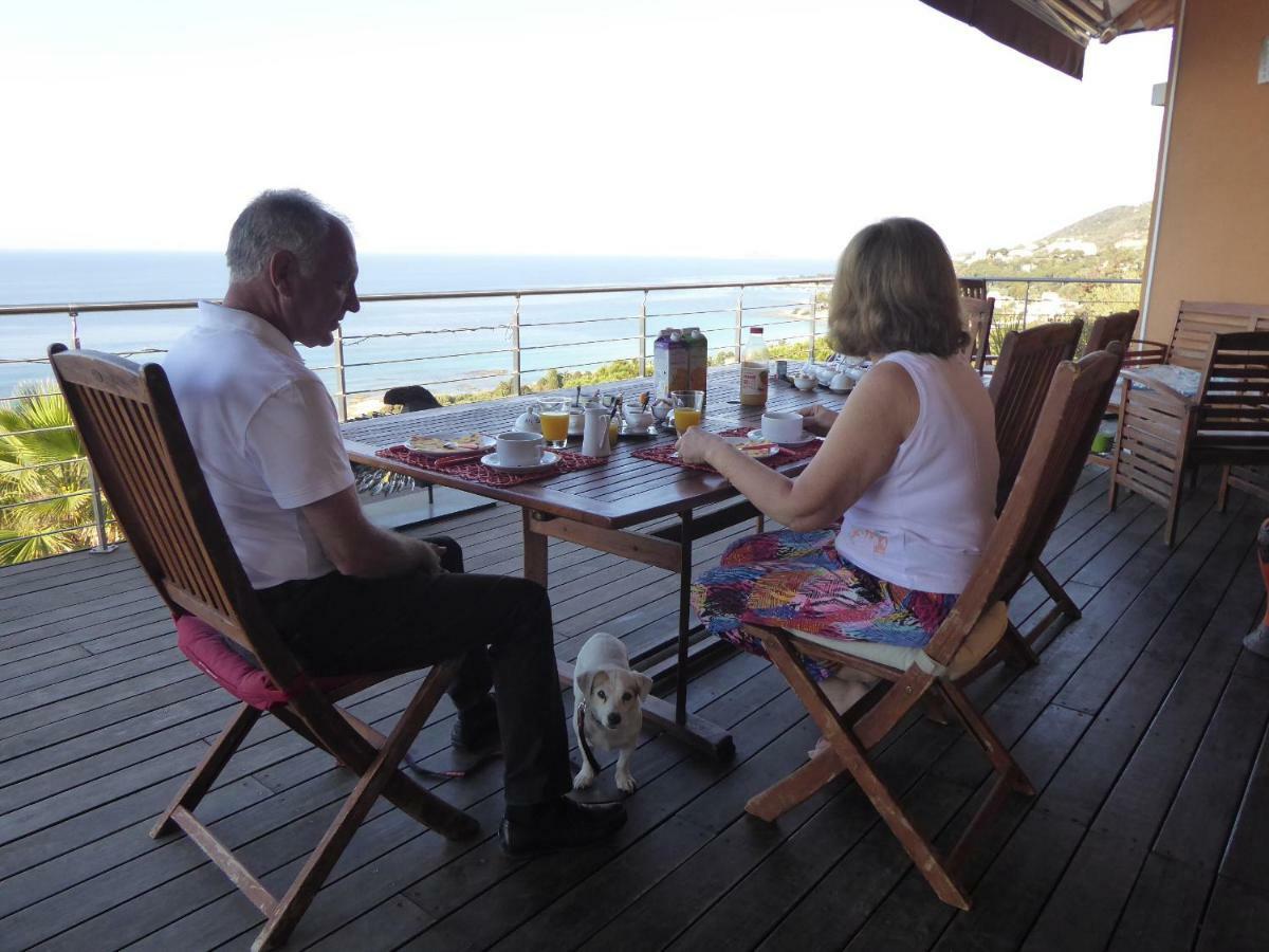 Barbicaj'Alta Bed and Breakfast Ajaccio  Eksteriør billede